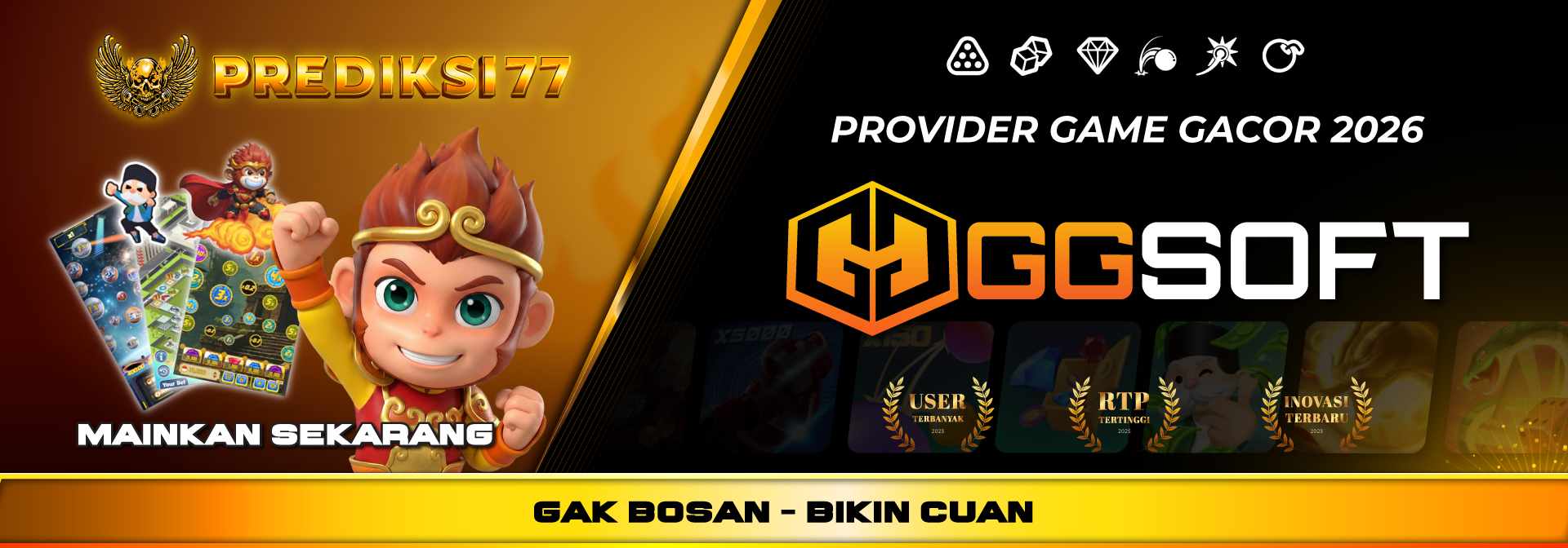 PROVIDER GGSOFT